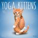 Yoga BrownTrout Publishers Yoga Kittens - Kätzchen Yoga 2027 - 16-Monatskalender