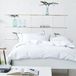 DESIGNERS GUILD Astor Effen laken in katoen perkal 270 x 300 cm Grafiet