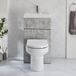Hudson Reed WC avec lave-mains - 50 x 89 cm - Design moderne gris