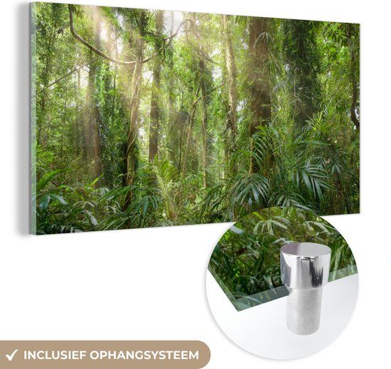 MuchoWow® Glass Painting 160x80 cm - Acrylic Glass Painting - Light in the Forest - Photo on Glass - Paintings