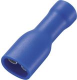 TRU COMPONENTS 737792 Platte stekker (female) Insteekbreedte: 4.8 mm Insteekdikte: 0.5 mm 180 ° Volledig geïsoleerd Blauw 50 stuk(s)