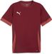 Puma TeamGoal wedstrijdshirt 705747