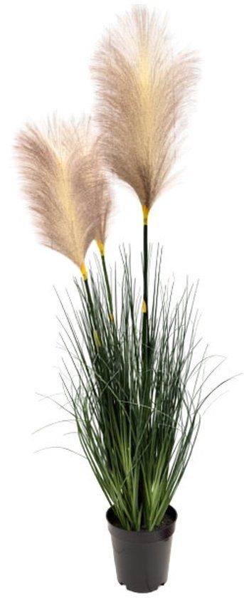 Oosterik Home Pampasgras perzik H 81 cm kunstplant