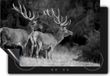 Chefcare Inductie Beschermer Twee Herten in het Bos - Zwart Wit - 95x55 cm