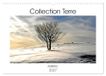 Collection Calvendo Collection Terre AUBRAC (Calendrier mural 2027 DIN A3 vertical), CALVENDO calendrier mensuel