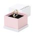 Pandora Essence Bicolor Verschlungene Bänder Ring aus Sterling Silber mit vergoldeter Metalllegierung, Größe: 58, 163262C00-58