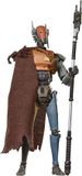 Hasbro Star Wars The Black Series Mercenary Guard Droid Actiefiguur - 15cm
