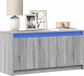 Maison Exclusive - Meuble TV avec éclairage LED, gris Sonoma, 100x34x50 cm