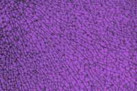GLOREX Crackle mozaïek plaat, glas, paars, 26 x 17,5 x 1 cm