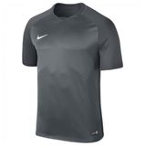 Nike Dry Team Trophy III Sportshirt - Kinderen - Unisex - Grijs - Maat 152