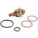 Frisquet Clapet Thermostat 60°c+ Joint Réf. F3aa40021
