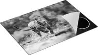 Chefcare Inductie Beschermer Tijger Loopt in het Water - Zwart Wit - 75x50 cm
