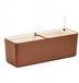 Berberis Balkonbak Berberis 60cm Terracotta