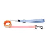 Fisura Originele hondenriem met kleurverloop, riem voor kleine en middelgrote honden, robuuste nylon hondenriem met karabijnhaak, zachte grip, 2,5 cm x 120 cm.