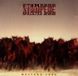 Konkurrent Mustang Ford - Stampede (CD)
