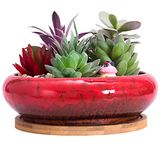 ARTKETTY Vetplantenpot, 18,5 cm grote bonsaipot met dienblad, keramische vetplant met drainagegat, ondiepe cactusbloempotten voor binnen/buitenplanten geglazuurde plantenbak, rood