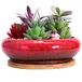 ARTKETTY Vetplantenpot, 18,5 cm grote bonsaipot met dienblad, keramische vetplant met drainagegat, ondiepe cactusbloempotten voor binnen/buitenplanten geglazuurde plantenbak, rood