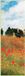 Your Decoration B.V. Kunstdruk Claude Monet - Field of Poppies 25x70cm
