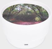 TickiT Bos Ontdekking Speelkleed