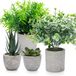 Ibenzoa® Levensechte Kunstplanten Set van Vier voor Binnenhuisdecoratie