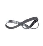Metzger 6PK923 DAYCO V-ribriem