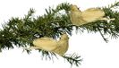 Decoris kerstboomversiering vogels op clip - 2x st - goud - foam - 11 cm