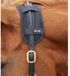 Premier Equine Bi-polar Magni-teque Poll Verband Noir