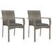 vidaXL Tuinstoelen 2 stuks met kussens Polyrattan Grijs