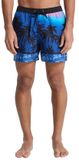 Quiksilver Everyday Printed Volley 15'' Zwembroek Blauw 2XL Man