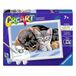 Ravensburger CreArt Serie D, speciale vriendschap, schilderen op nummer, schilderset, afmetingen 25 x 18,30 cm, spelletjes voor kinderen 9 jaar, cadeau-ideeën, cadeau voor kinderen van 9 jaar