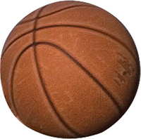 Lifetime Rubber Basketball