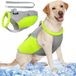 Bol Gilet de refroidissement pour chien avec harnais, gris, réfléchissant, avec laisse, taille 48 cm de tour de poitrine