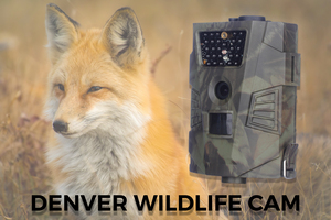 Denver WCT-5001 Wildcamera - 5MP, Full HD, Nachtvisie, Camouflage