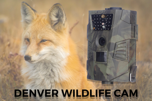 Denver WCT-5001 Wildcamera - 5MP, Full HD, Nachtvisie, Camouflage