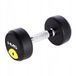 HMS Teko Sp. z o.o. HG PRO Halter 6 kg - Gecoat voor Krachttraining