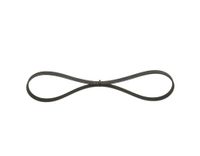 BOSCH Keilrippenriemen 1987947809