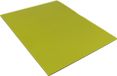 YATE FITNESS MAXI tapis automatique double épaisseur 12 - 95x70x1,2 cm noir/vert