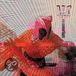 Antipop Thirsty Ear Fight of the Century: Anti-Pop Consortium vs. Matthew Shipp CD
