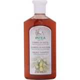NOGAL Champú Cheveux Foncés et Colorés 250 ml