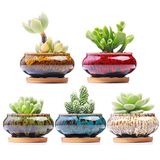 LAMDAWN Leuke keramische succulente tuinpotten, plantenbak met drainage en bevestigde schotel, set van 5 -planten niet inbegrepen (Burner)