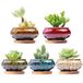 LAMDAWN Leuke keramische succulente tuinpotten, plantenbak met drainage en bevestigde schotel, set van 5 -planten niet inbegrepen (Burner)