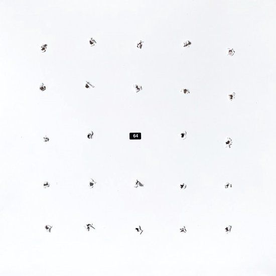 Split Fatcat Records Ian William Craig & Kago - Split Series 24 (LP)