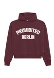 Prohibited Sweatshirt 'Berlin' beige / bessen