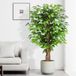 Unyqoos Grote levensechte kunstficusboom voor interieur en exterieur decoratie, groen,120cm