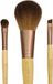 Ecotools Mini Essentials Set