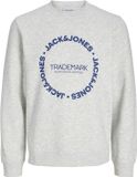 JACK & JONES JUNIOR - JJBENSON SWEAT CREW NECK JNR Jongens Trui