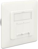 Delock Modular Wall Outlet flush mount 2 Port Cat.6A LSA
