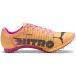 Puma Chaussures de sport evospeed 400 nitro elite 2
