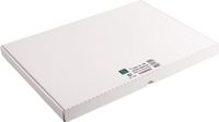 Exacompta etui 100 steekkaarten bristol - effen niet geperforeerd 297x420mm - Wit
