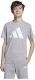 Adidas Essentials T-shirt Met Korte Mouwen Grijs 7-8 Years Kinderen